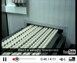 Скороморозильный аппарат в линии производства пельменей (видеоролик: 251 c)...
