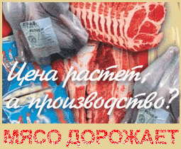 Обзор российского рынка мяса...